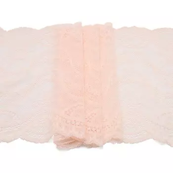 1261 Кружево эластичное 24,5см*10м, телесный