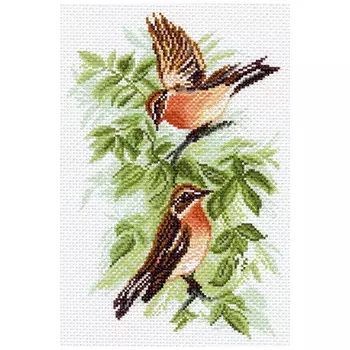 1563 Канва с рисунком Матренин посад 'Луговой чекан' 24*35см (28*37см)