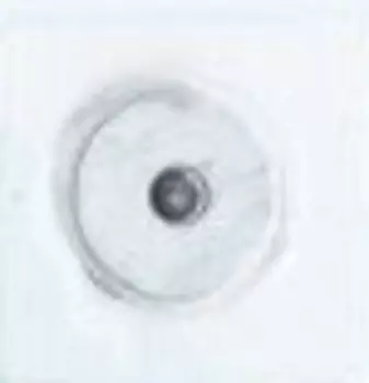 1619 Часть кнопки 520 т.медь BRASS ГР