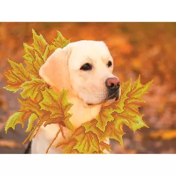 164/Б Набор для вышивания бисером Матренин Посад 'Королева осени' 37*49см