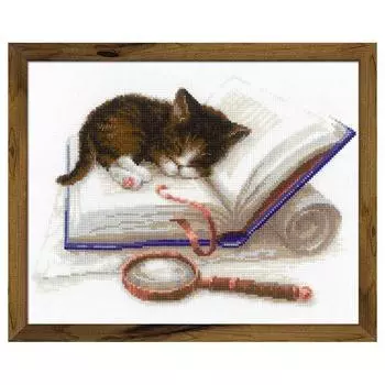 1725 Набор для вышивания Риолис 'Котёнок на книжке' 30*24см