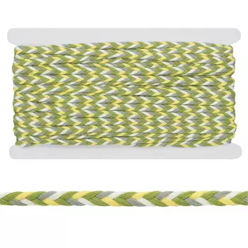 1AS-276 Шнур плоский 'косичка' мультиколор 8мм*20м (цвет 1)