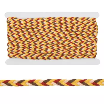 1AS-276 Шнур плоский 'косичка' мультиколор 8мм*20м (цвет 4)