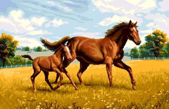 2114 Набор для вышивания 'Лошади' 45х65 см