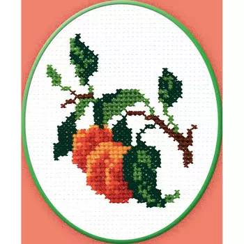 238 Набор для вышивания РС-Студия 'Абрикос' 10*9 см