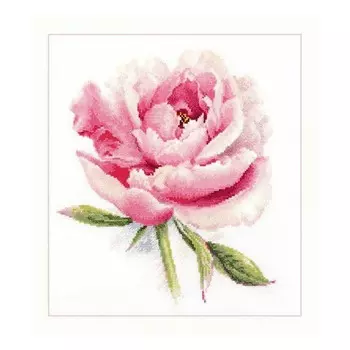 2-47 Набор для вышивания АЛИСА 'Нежный пион'22*24см