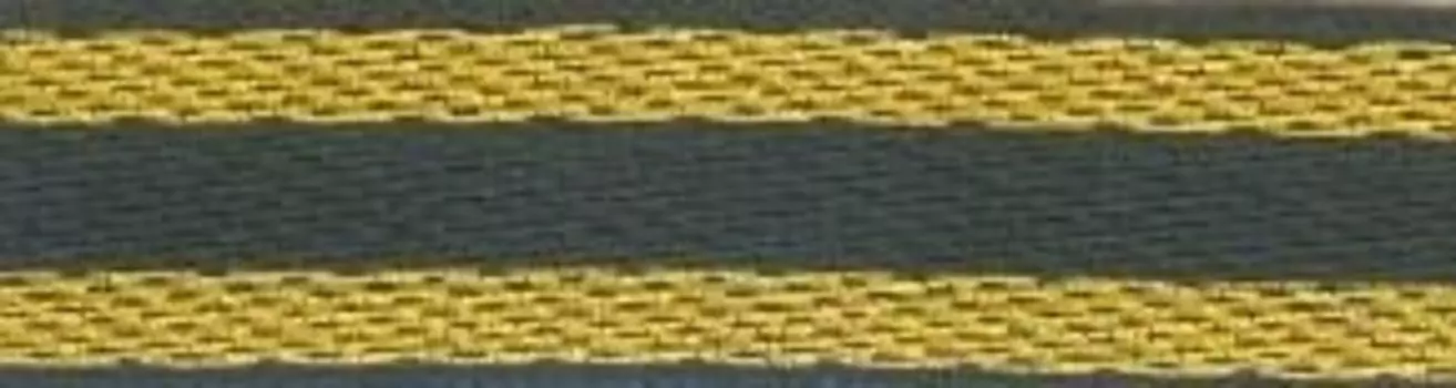 3504 Тесьма жаккардовая, 10 мм*32,8 м, 'Астра' (17D/золото)