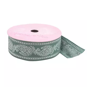 3523 Тесьма жаккардовая, 40 мм*16,4 м (172/серебро)