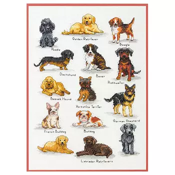 35353-70-DMS Набор для вышивания Dimensions 'Породы собак'