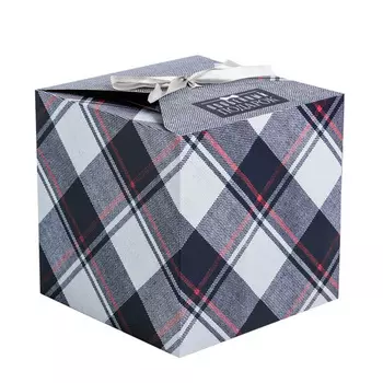 3680733 Складная коробка «Особенный », 18 * 18 * 18 см