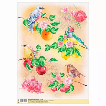 3742411 Декупажная карта «Райские птицы», 21*29,7 см