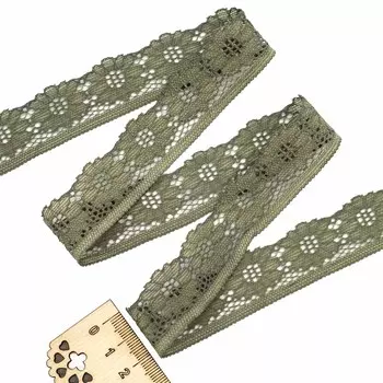3AR254 Кружево эластичное 2,5см*13,72м (099 пыльный хаки)