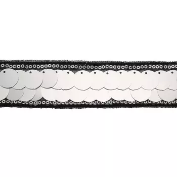 3AR840NE Тесьма с пайетками на сетке 3,8см*14,63м (01 серебро)