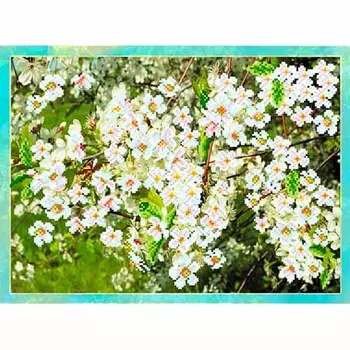 4092 Рисунок на шелке Матренин посад 'Цветущая вишня' 33*45см (37*49см)