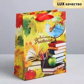 4096064 Пакет крафтовый вертикальный «Любимому учителю!», MS 18*23*8 см