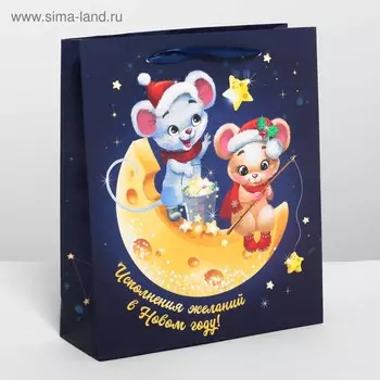 4262219 Пакет ламинированный вертикальный «Мышки на луне», ML 23 * 27*8 см