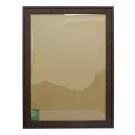 508 Рама со стеклом 71,2*49,2см (70*48см) (589 коричн)
