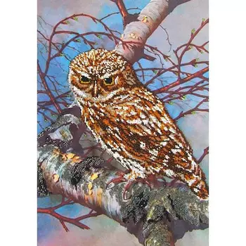 53132 Набор для вышивания бисером Astrea 'Совушка', 40х28 см