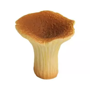 560605 Миниатюра Гриб-лисичка 3*3*3см, Астра