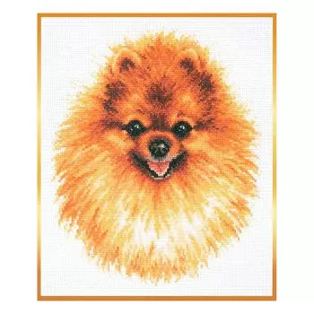 59-22 Набор для вышивания Чудесная игла 'Померанский шпиц' 22 *25см