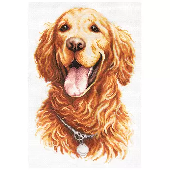 59-24 Набор для вышивания Чудесная игла 'Золотистый ретривер' 20*28см