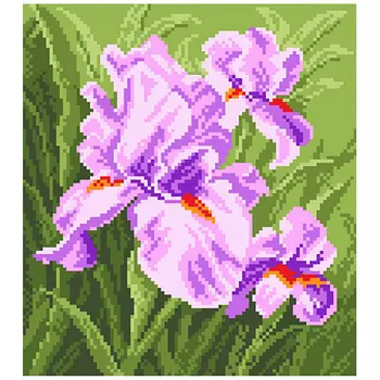 603-1 Канва с рисунком Матренин посад 'Ирис' 28*34см.(28*37см)