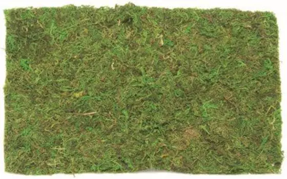 62220304 Мох (лист) Glorex