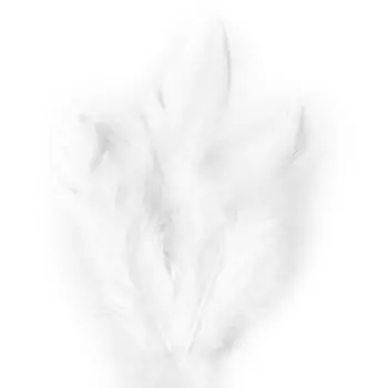 63821001 Перо декоративное,белый,15шт. Glorex