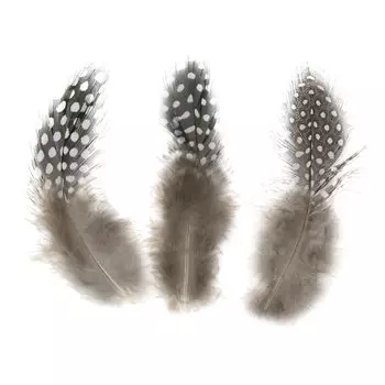 63823002 Перья цесарки декоративные Glorex