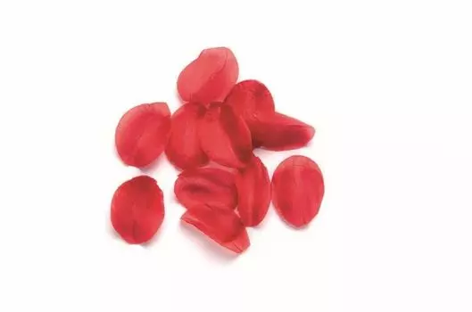 67105222 Лепестки розы (синтетика), красный, 100шт Glorex