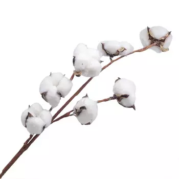 68529 ИЦ Хлопок белый LXY003-1