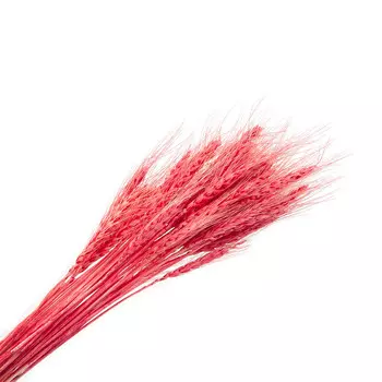 68563 Пшеница цветная 50г красная LXY007-2