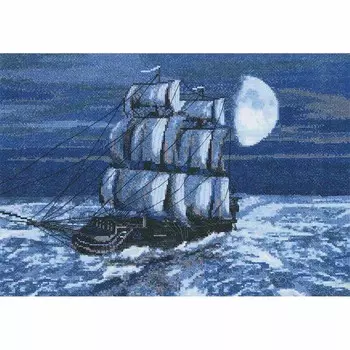 694 Набор для вышивания Hobby&amp;Pro 'Ночное плавание', 40*30 см