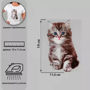 7339262 Термотрансфер Котёнок 11,6*19см