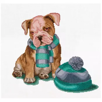 733А Набор для вышивания Gouverneur 'Похолодало', Аида, 31*30 см