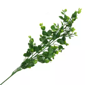 77451 ИЦ Ветка Брусничник 71см ЕУГЕН