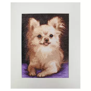 805 Набор для вышивания Hobby&amp;Pro 'Чихуахуа', 16*22 см