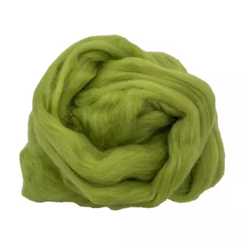 84325-2 ORCHIDEA Шерсть для валяния, цвет фисташковый, 50 г