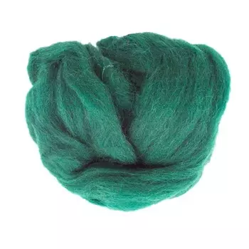 84328-1 ORCHIDEA Шерсть для валяния, цвет зеленый, 10 г