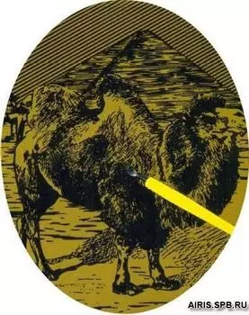 8501J Гравюра 'Верблюд', 14*19 см