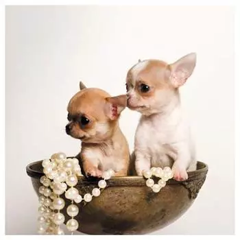 9128ш Наволочка 'Матренин Посад' 'Милашки', 39*39 см