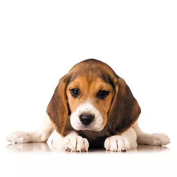 9135ш Наволочка Матренин Посад 'Гимнаст' 39*39см