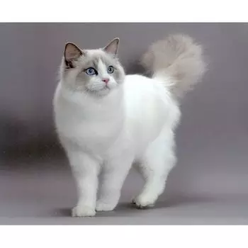 9136ш Наволочка 'Матренин Посад' 'Изящество', 39*39 см