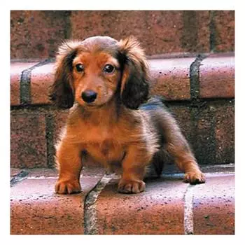 9139ш Наволочка 'Матренин Посад' 'Охотник', 39*39 см