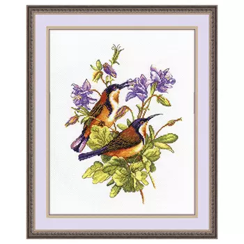 944 Набор для вышивания 'Овен' 'Птички-невелички. Колибри', 19*24 см