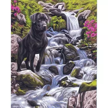 9880.0132.0173 Канва с рисунком Royal Paris, 37*47,5 см