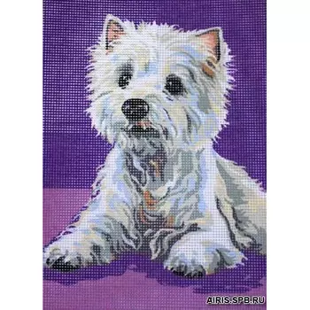9880.0141.0056 Канва с рисунком Royal Paris 'Белый щенок' 30*40 см