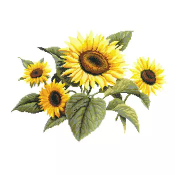 А-0018 Набор для вышивания 'Подсолнухи' 36х28 см