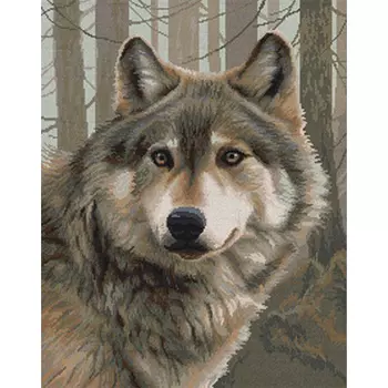 А-0030 Набор для вышивания 'Кузьма' 30х38 см