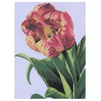 АА-025 Набор для вышивания 'Тюльпан' 30*40см